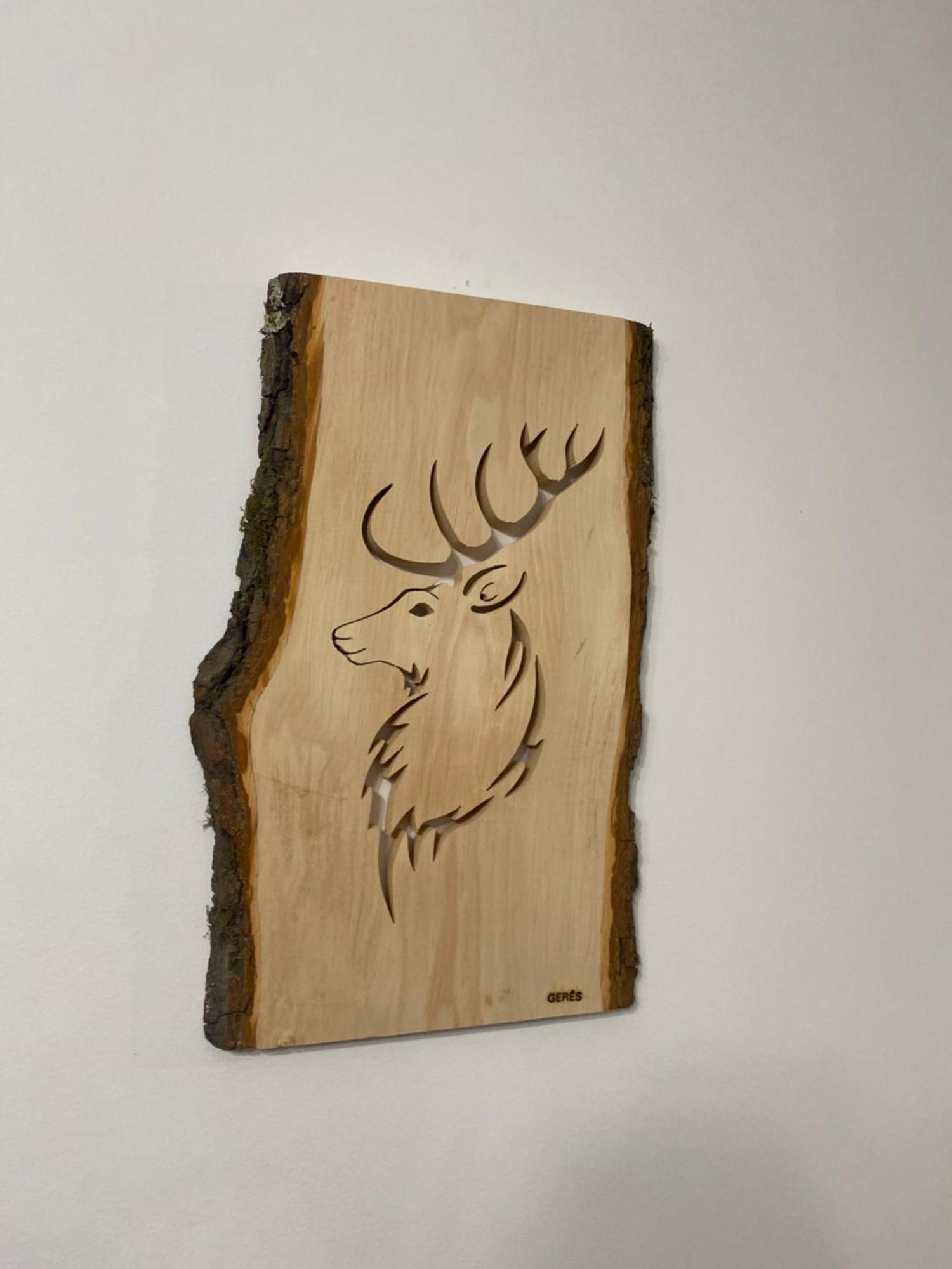 Geres River - Apartamento Na Natureza 외부 사진